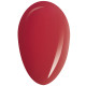 RobyNails Gel Polish Gipsy Red 108