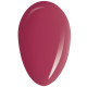RobyNails Gel Polish Rebel Purple 164