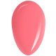RobyNails Gel Polish Wonder Coral 252