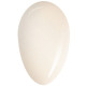 RobyNails Gel Polish Vanilla Shimmer 291