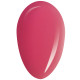 RobyNails Gel Polish Fuchsia Charme 109