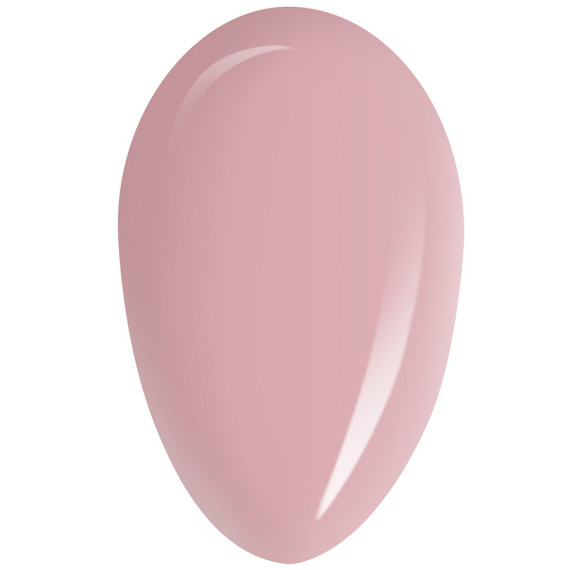 RobyNails Gel Polish Sweet Dream 244