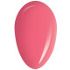 RobyNails Gel Polish Living Coral 218