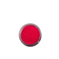 RobyNails Glitter Neon Pink