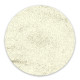 RobyNails Chrome Powder Silver
