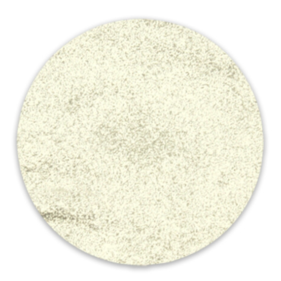 RobyNails Chrome Powder Silver