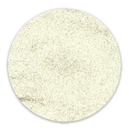 RobyNails Chrome Powder Silver