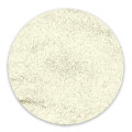RobyNails Chrome Powder Silver
