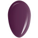 RobyNails Gel Polish Brown Purple 298