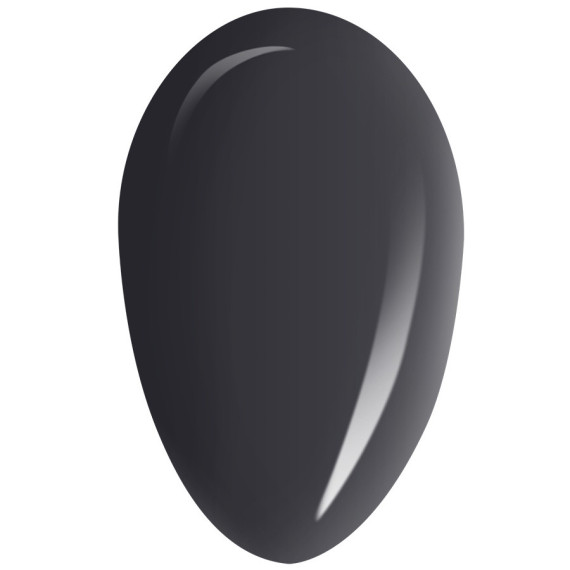RobyNails Gel Polish Smoky Black 300