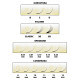 MyLashes 5D C 0.07 - 9 mm