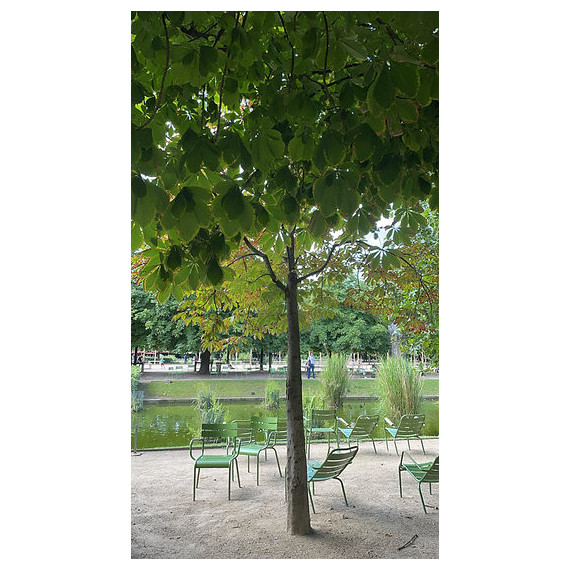 Le Bèret - Jardin des Tuileries - Dark Green
