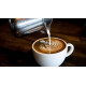 Le Bèret - Cafè au Lait - Mold