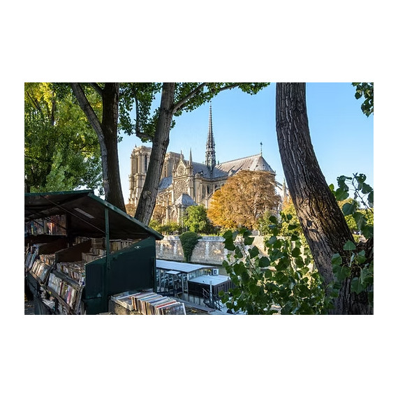 Le Bèret - Notre Dame - Brown