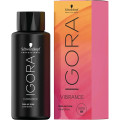 Igora Vibrance Color Kit Free