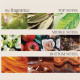 Lànza Healing Style Design Foam