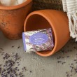 Castelbel Lavender Soap